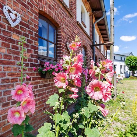 Ostsee Bauernhof Schwalbennest Ofc 15 Steffenshagen Eksteriør bilde
